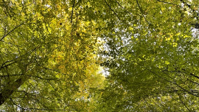 Monatsrückblick Oktober 2021