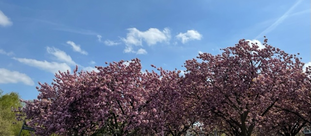 #12von12 im Mai 2022