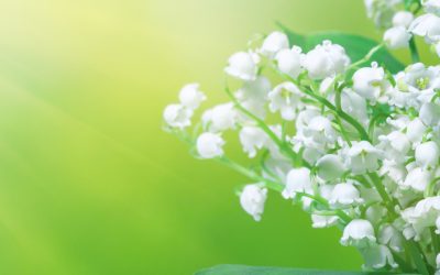 Monatsrückblick Mai 2024